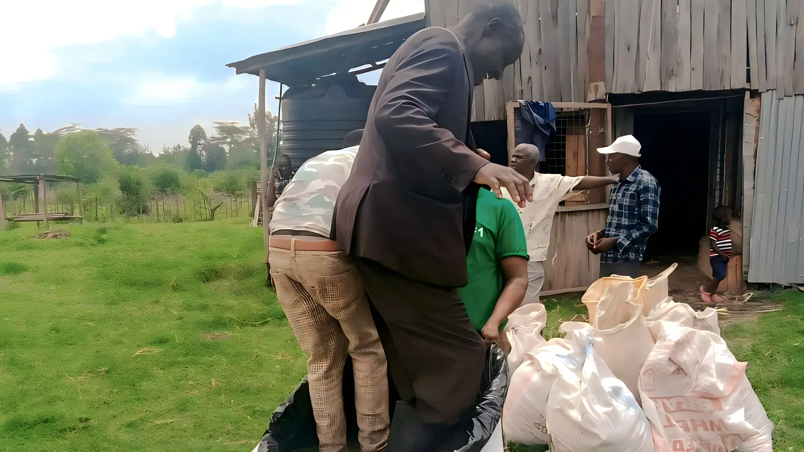 Farm team compacting silage during practical cattle nutrition work